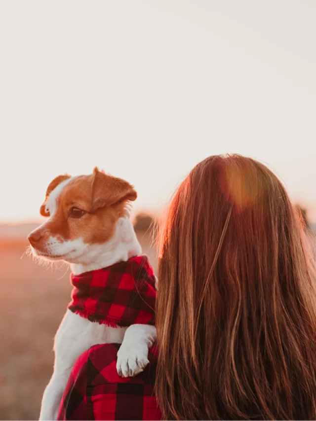 con su perro en la playa