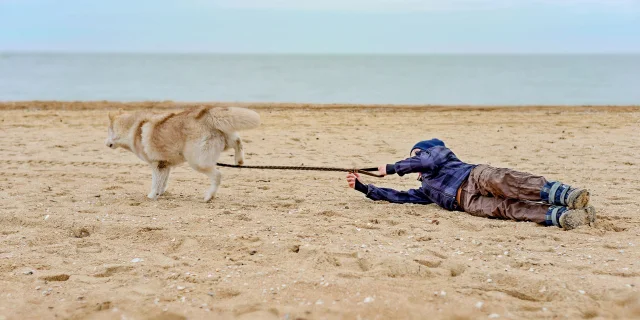 La playa con mi perro