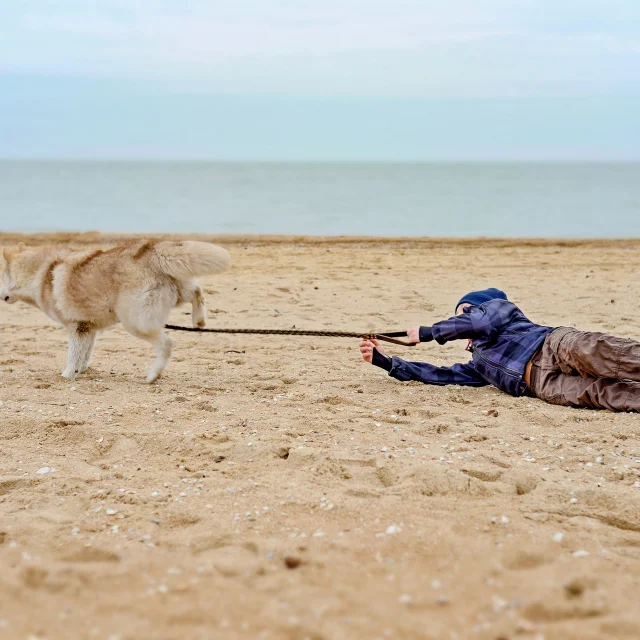 La plage avec mon chien