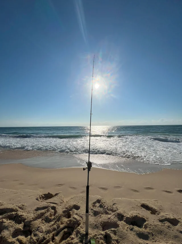 pêche en surfcasting