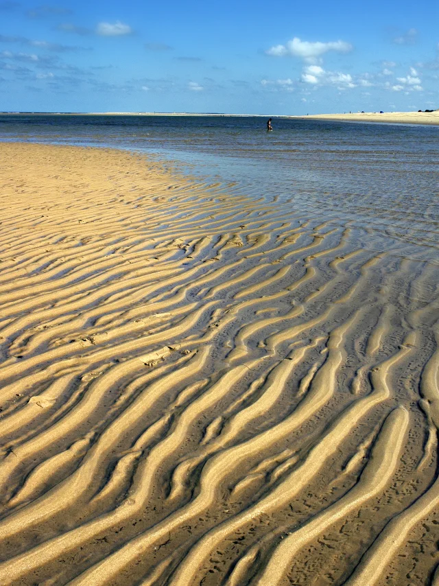 Plage Sud