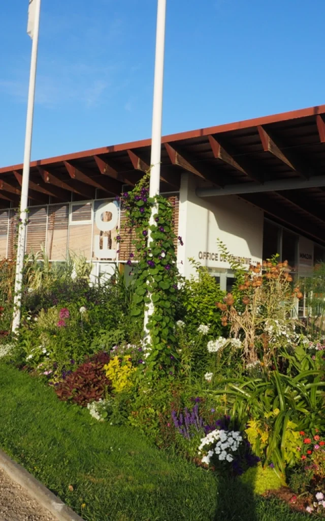 Salle d'exposition et de réunion à la plage