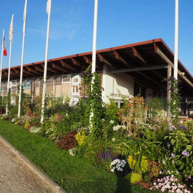 Salle d'exposition et de réunion à la plage