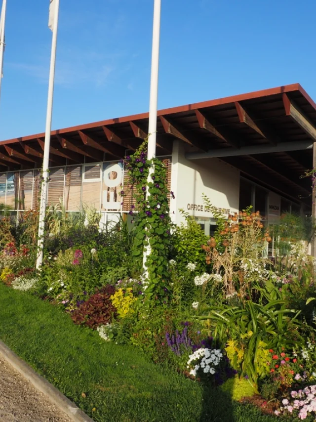 Salle d'exposition et de réunion à la plage