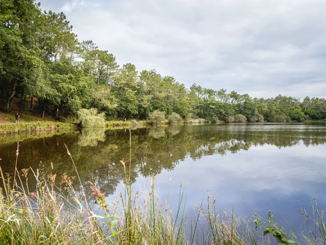 Pêche, balade à l'étang du bourg vieux à Bias