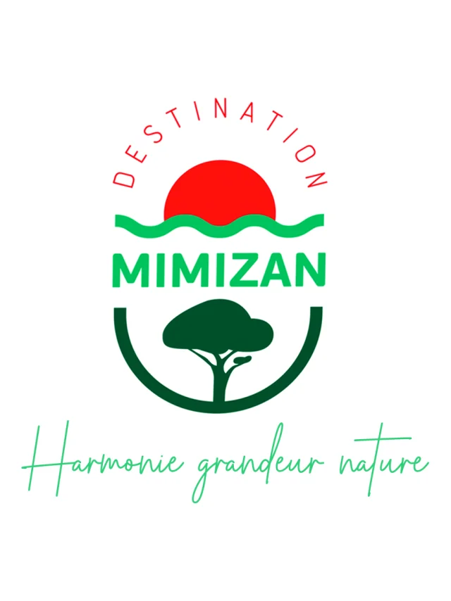 logo Destination Mimizan couleur