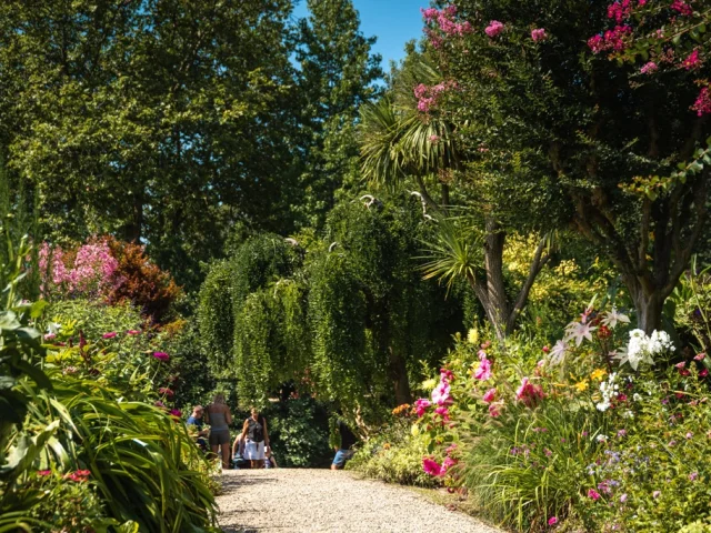 promenade fleurie au bord du lac d'Aureilhan Mimizan