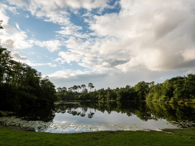 Etang des Forges à Pontenx