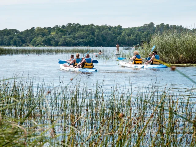 Canoë sur le courant des forges et le lac d'Aureilhan Mimizan