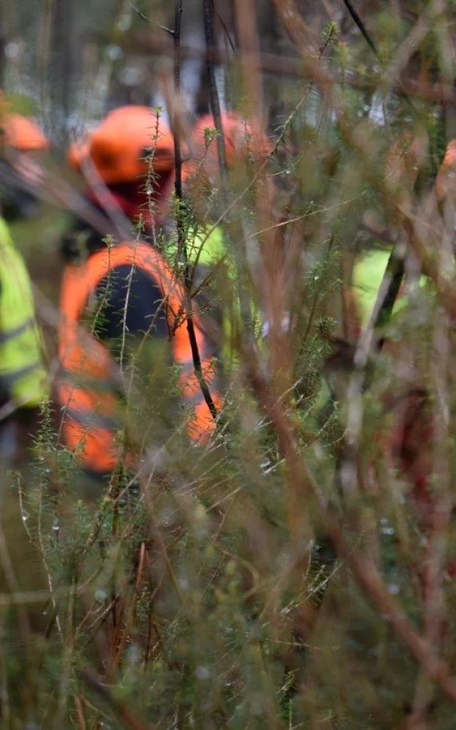 Etudiants En Foret Pontenx les Forges