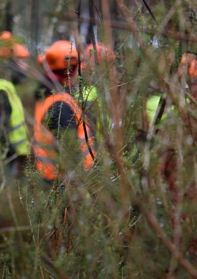 Etudiants En Foret Pontenx les Forges