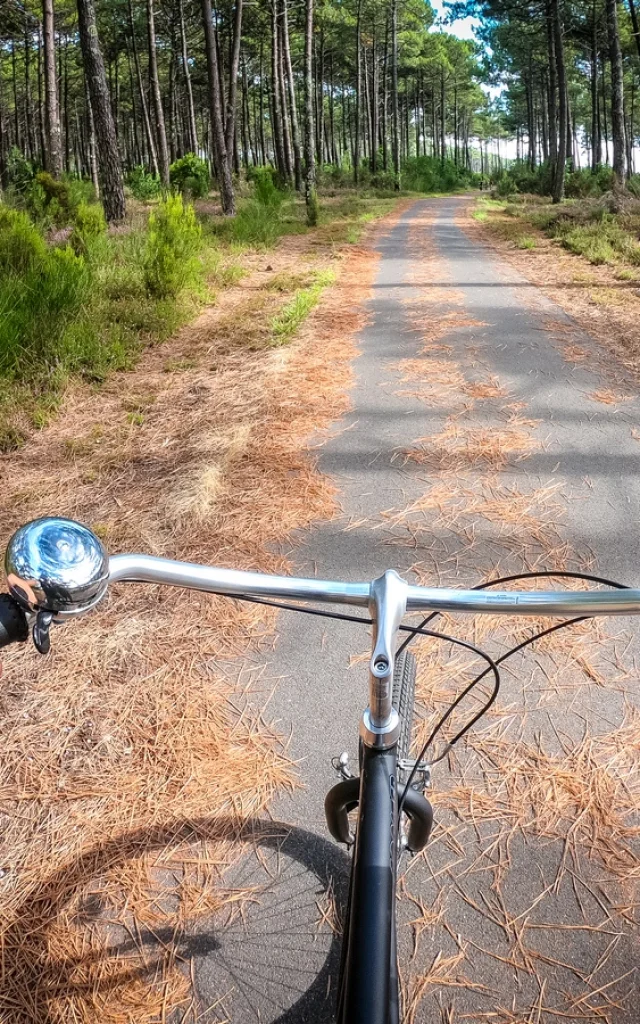 vélo sur la piste cyclable