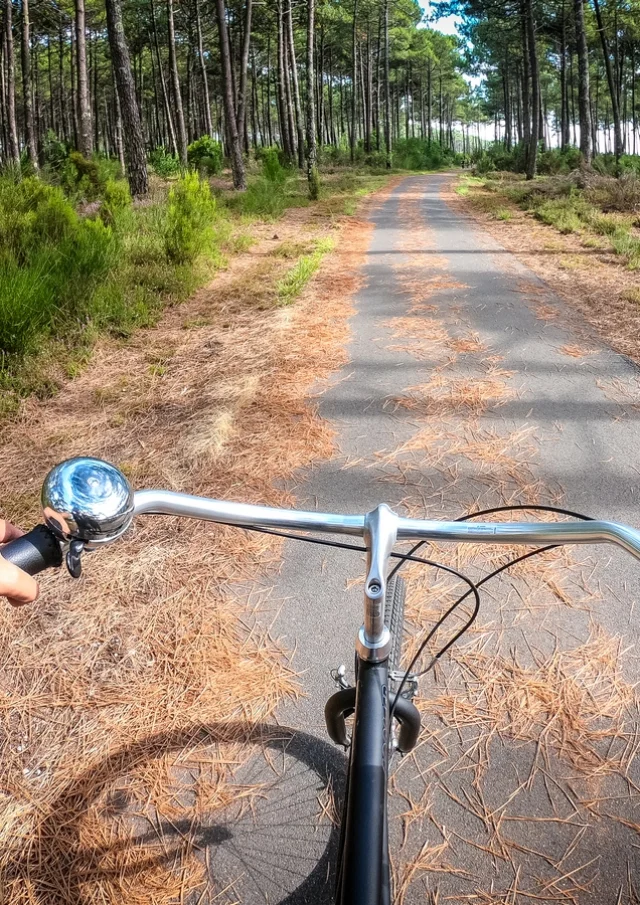 vélo sur la piste cyclable