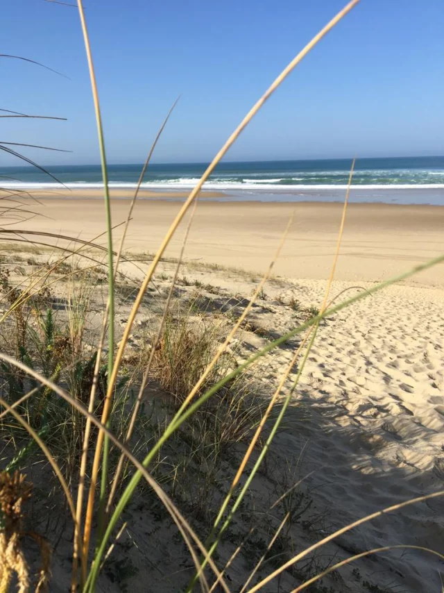 plage des cormorans à Mimizan