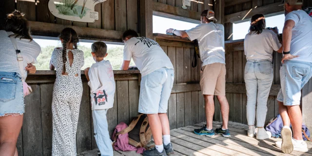 Mailloueyre family pond observatory