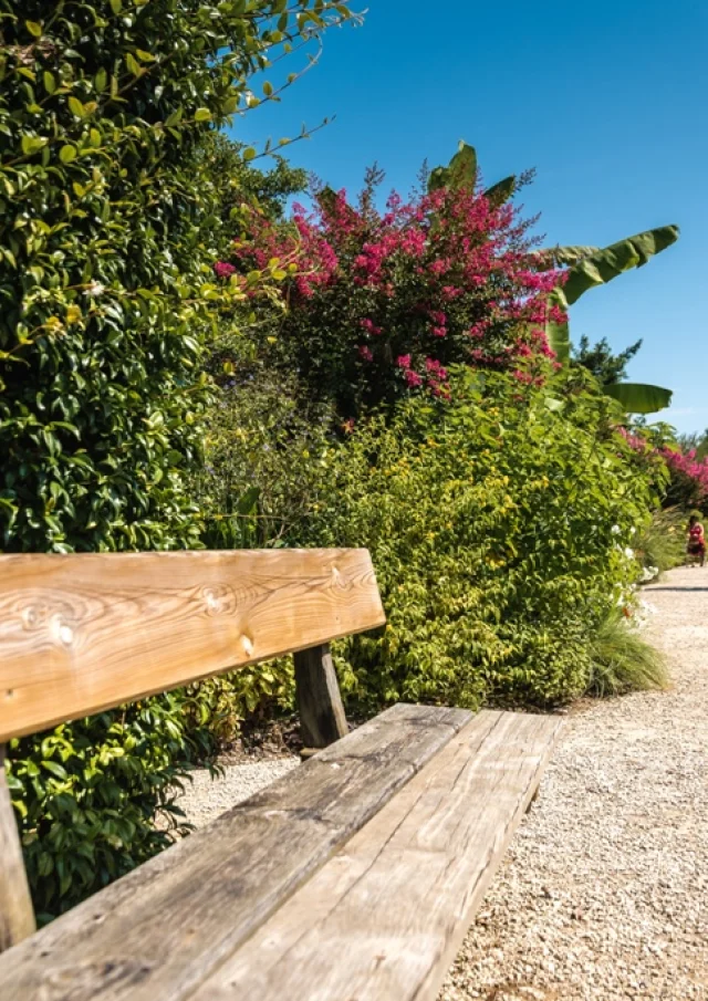 Promenade Fleurie - the sunny part