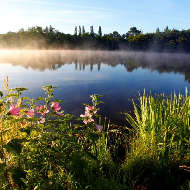 Promenade Fleurie - morning view of the lake