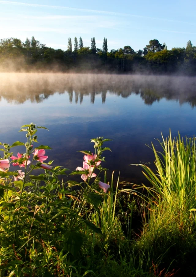 Promenade Fleurie - morning view of the lake