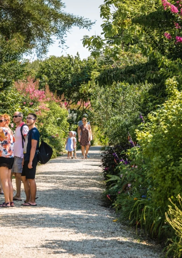 Promenade Fleurie - the sunny part