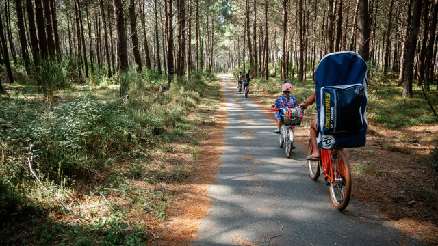 Paseo en bicicleta