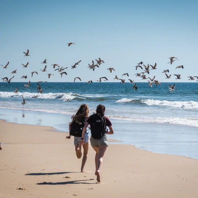 Mimizan Plage Niños