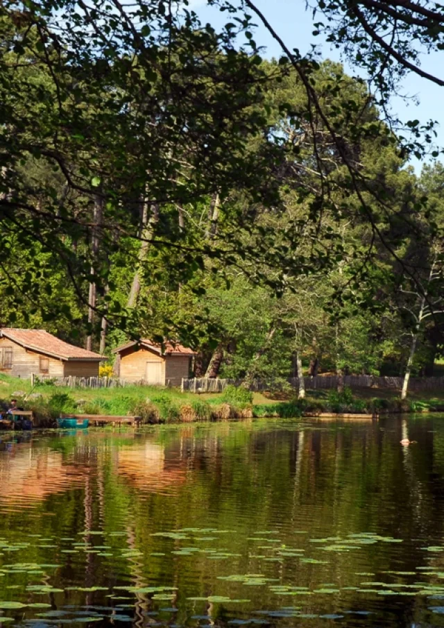 Sentier du tour du lac - cabanes côté Mimizan