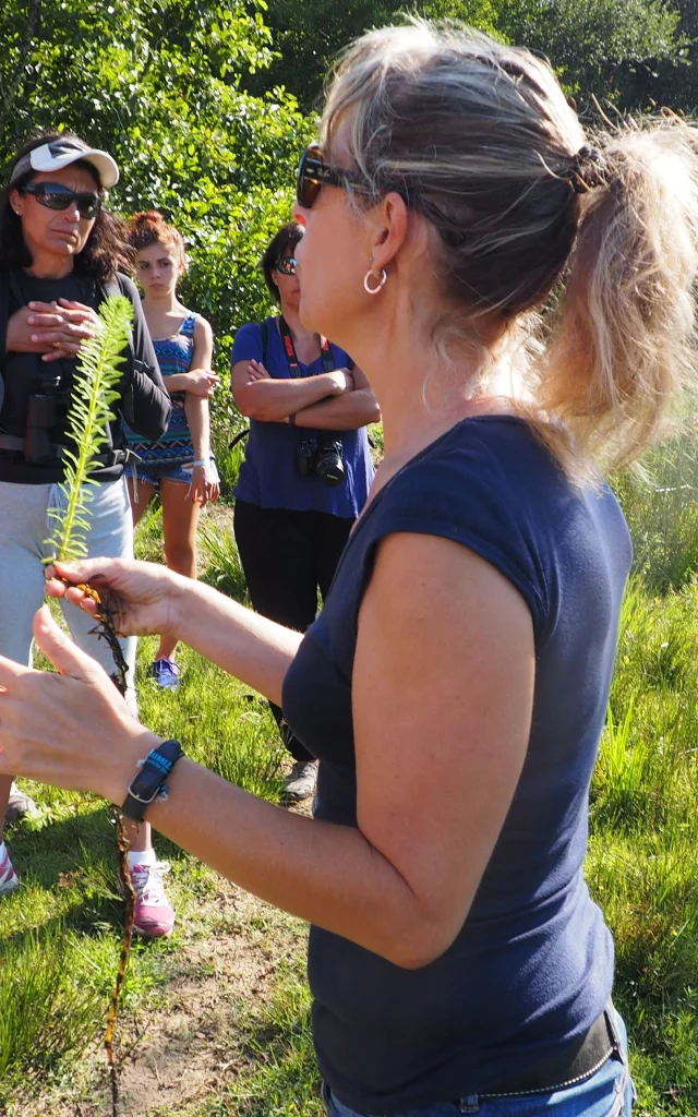 visites guidées en forêt landaise à Mézos