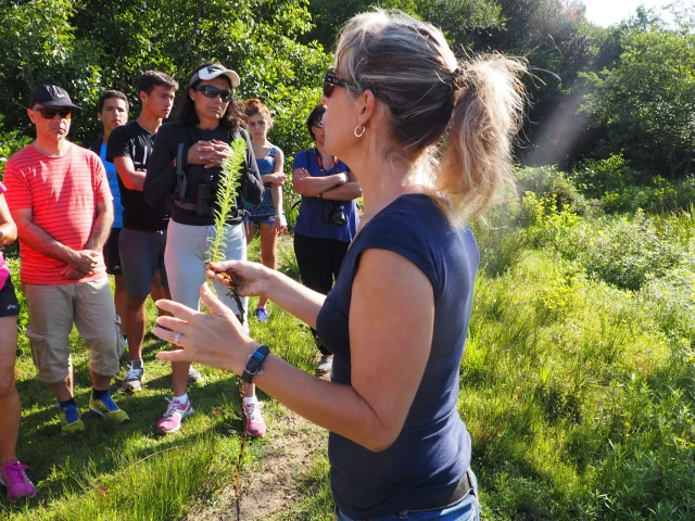 visites guidées en forêt landaise à Mézos