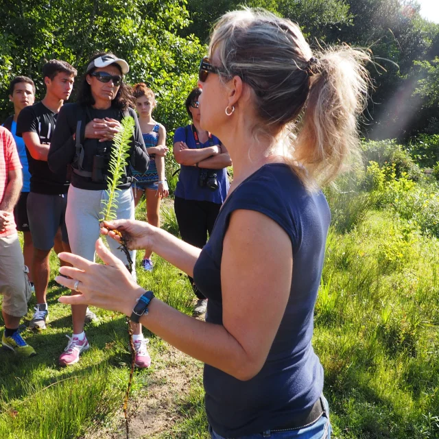 visites guidées en forêt landaise à Mézos