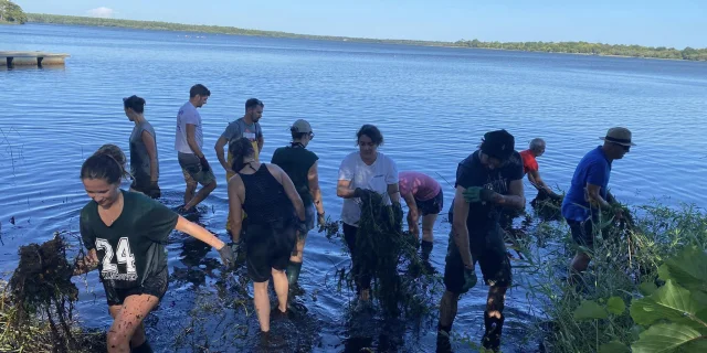 Eliminación de plantas invasoras AAPPMA Mimizan