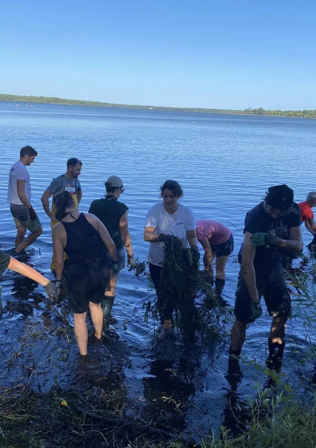 Removal of invasive plants AAPPMA Mimizan