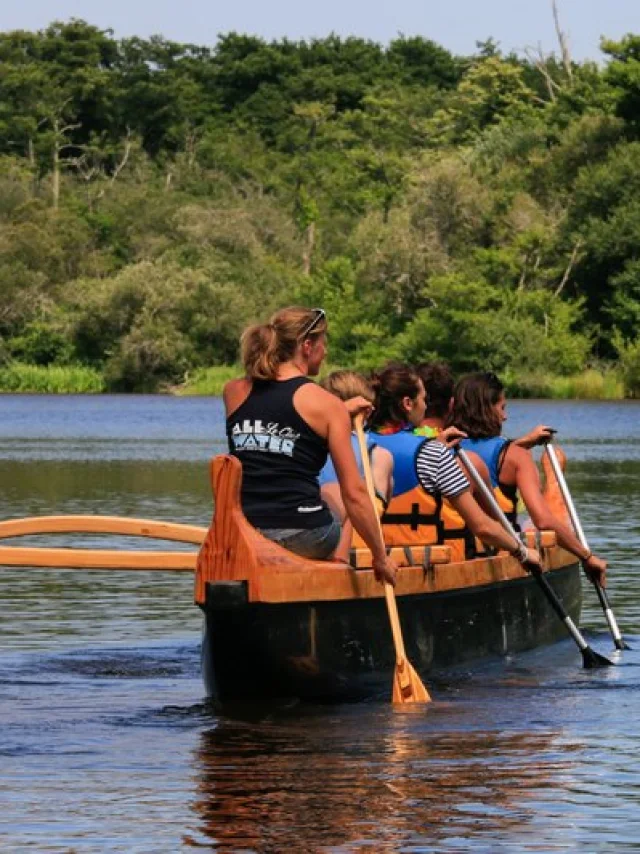 Pirogue on the lake