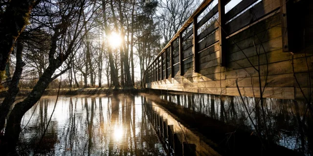 Brücke über den See