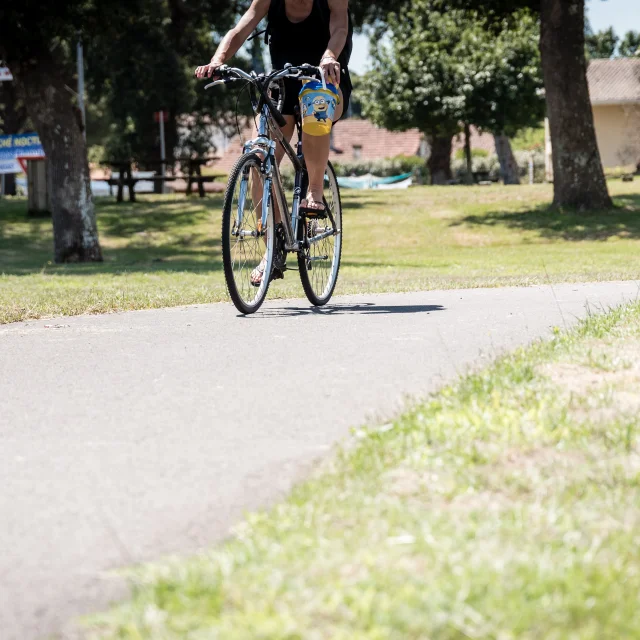 Bias cycle path