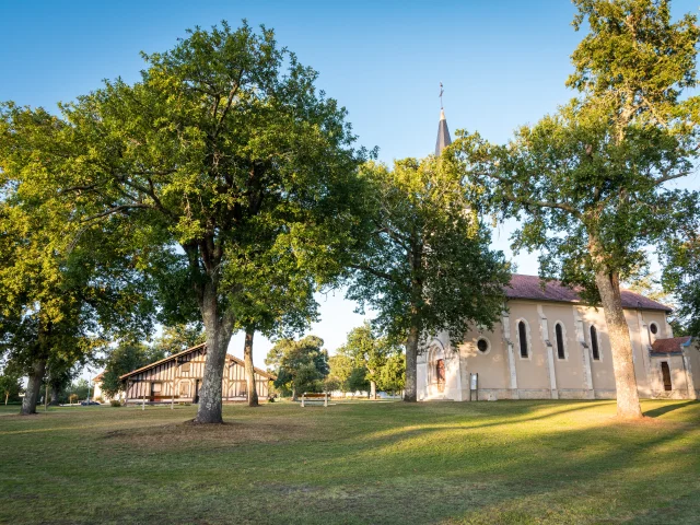 Bias - church and airial house - oak trees