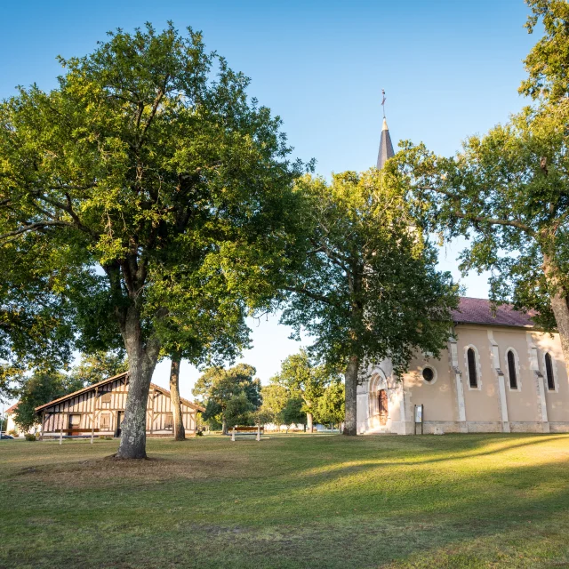 Bias - église et maison de l'airial - chênes