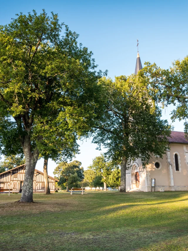 Bias - church and airial house - oak trees