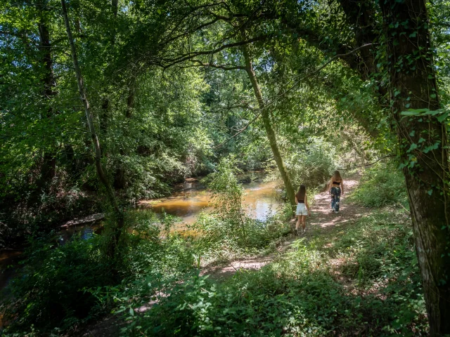 Mézos - curlew trail - riparian forest