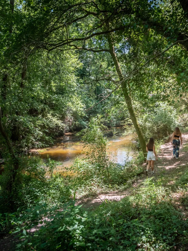 Mézos - curlew trail - riparian forest