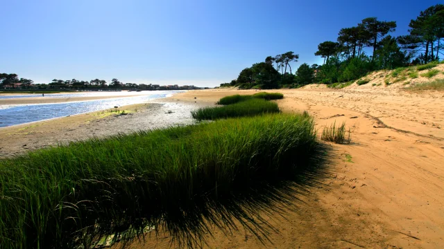 Mimizan current at low tide