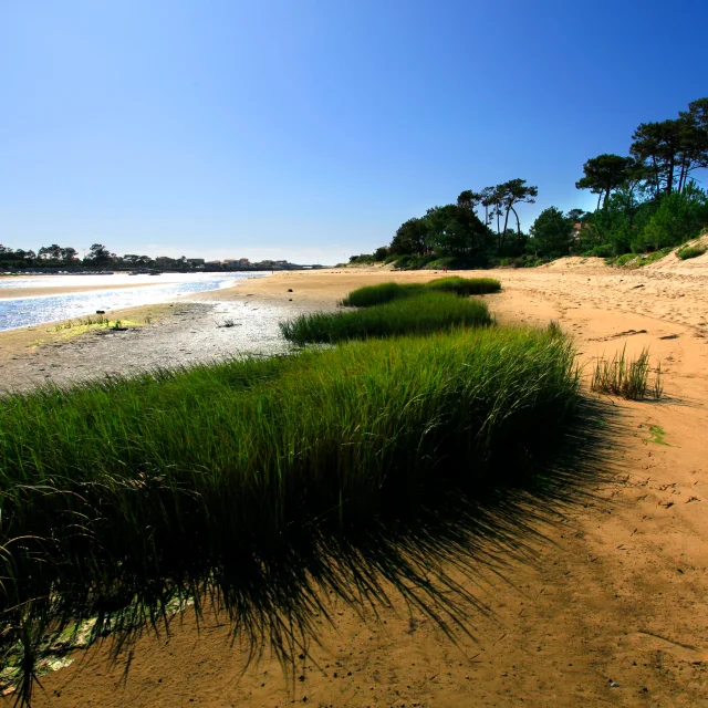 Mimizan current at low tide