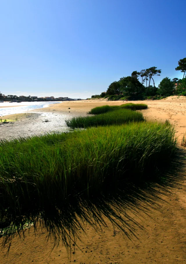 Courant de Mimizan à marée basse