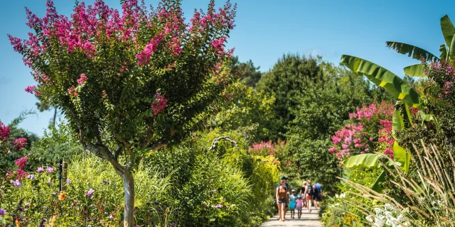 Paseo de las flores - verano - visitantes