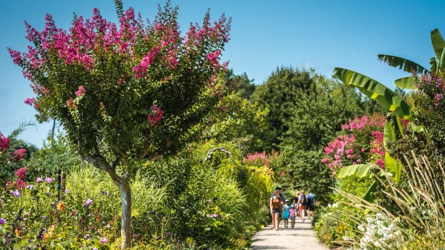 Promenade Fleurie - summer - visitors