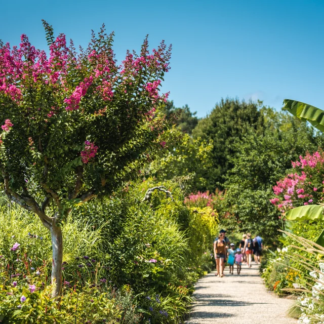 Promenade Fleurie - summer - visitors