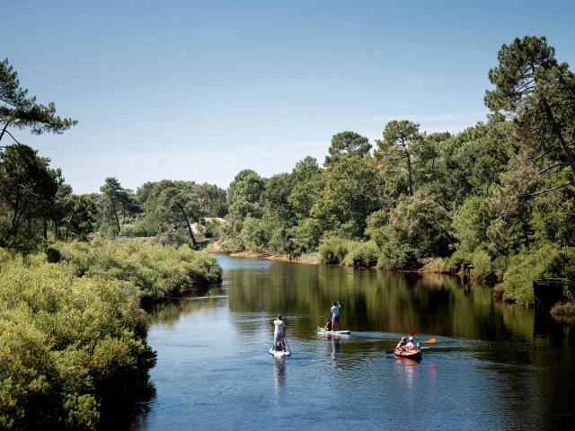 Paddle and canoe on the Courant de Mimizan