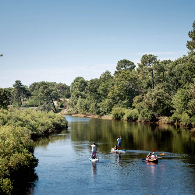 Paddle and canoe on the Courant de Mimizan