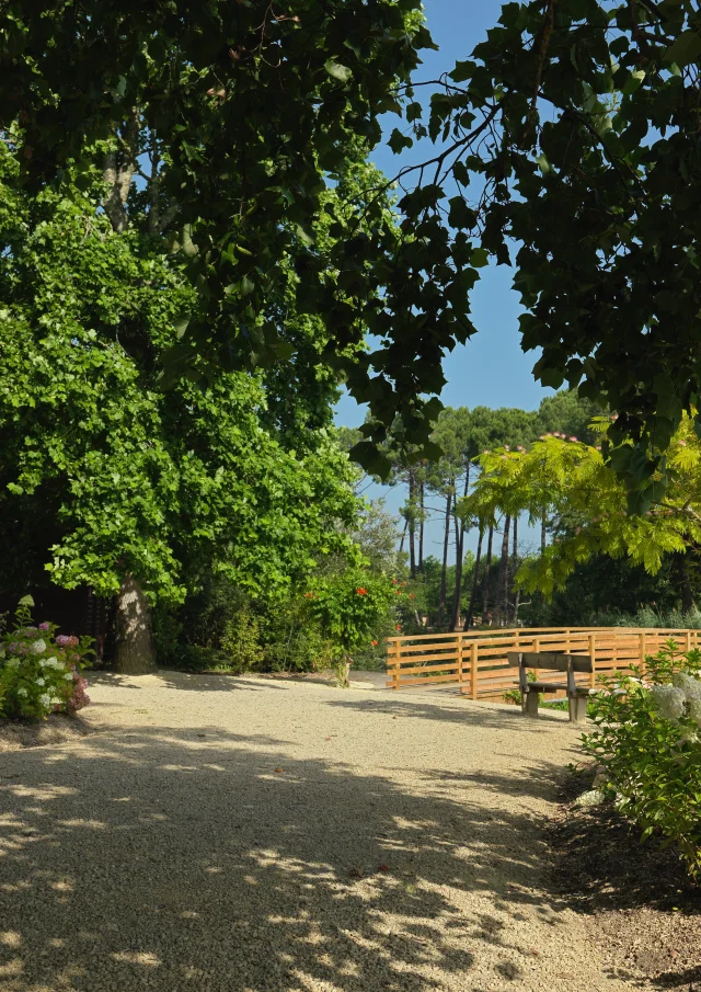 Flower walk at the campsite entrance