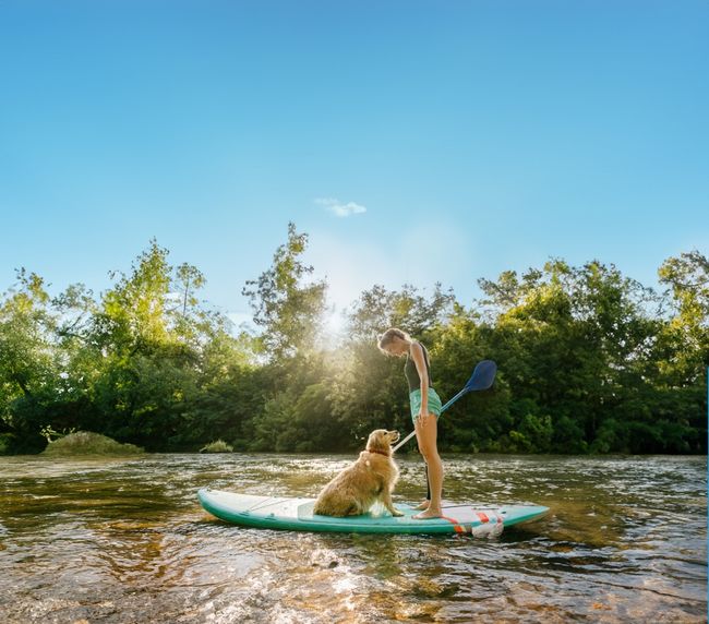 vacances avec son chien à Mimizan