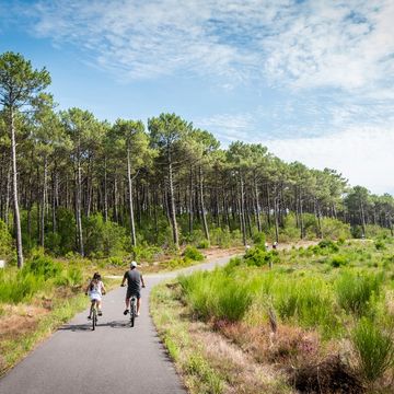 Vélodyssée - Piste cyclable de la Côte à MIMIZAN PLAGE